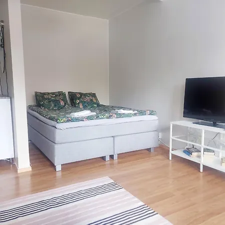 Spacious Studio Near The Center Of Apartment *