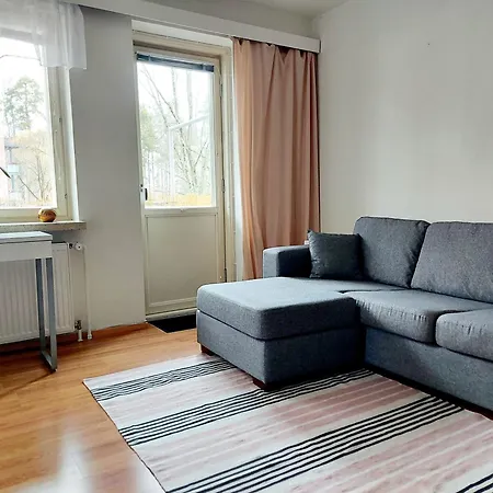 Spacious Studio Near The Center Of Apartment