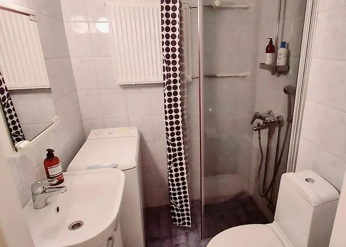 Spacious Near The Center Of Appartement *