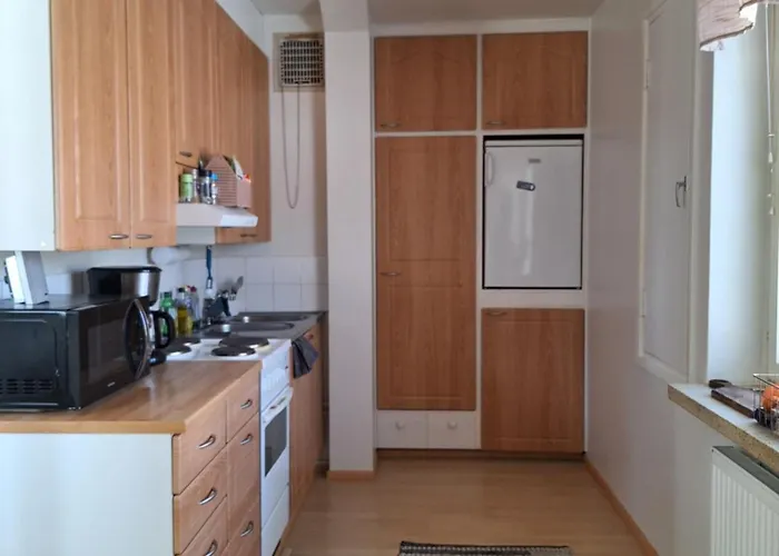 Spacious Near The Center Of Joensuu