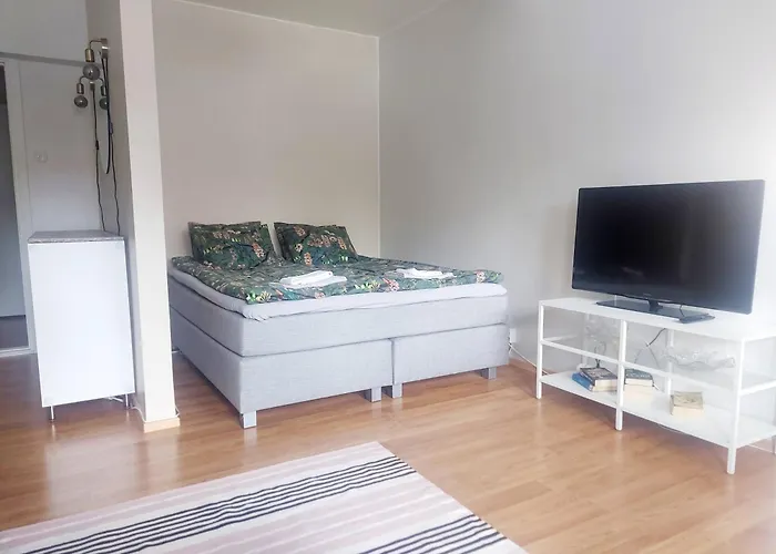 Spacious Near The Center Of Appartement *